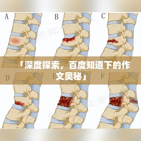 量入为出