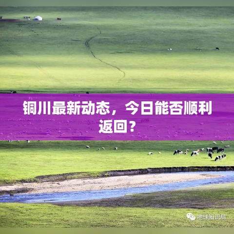 2025年5月20日 第40页