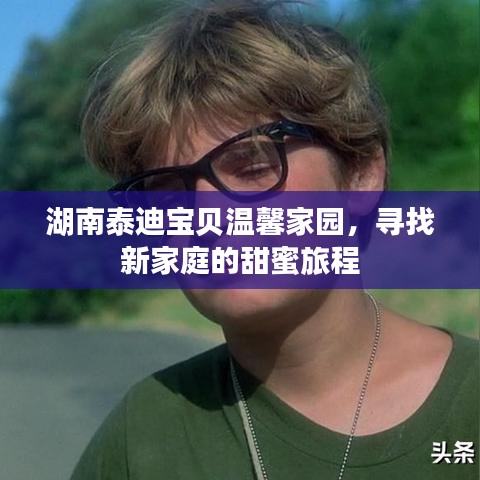 生张熟魏