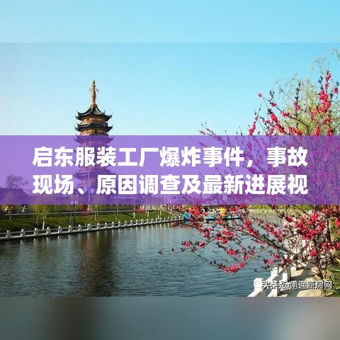 风华绝代