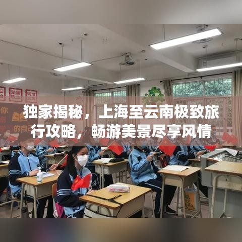 达官贵人