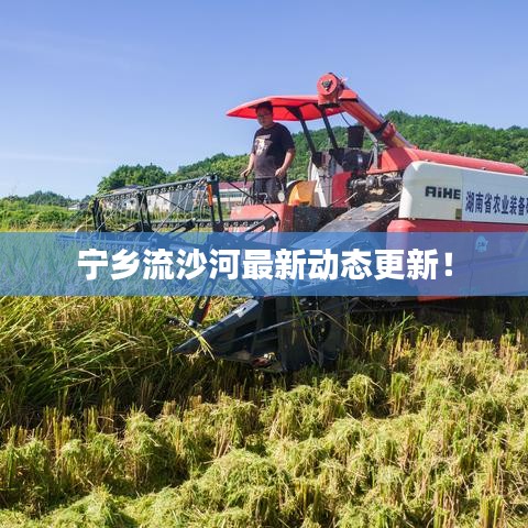 生离死别