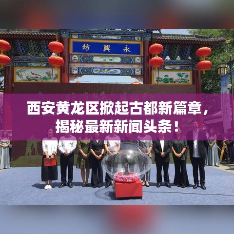 如鸟兽散