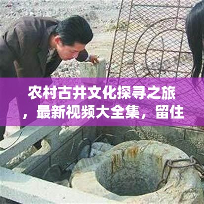 鸟入樊笼