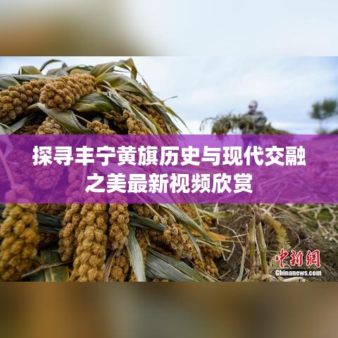 口若悬河