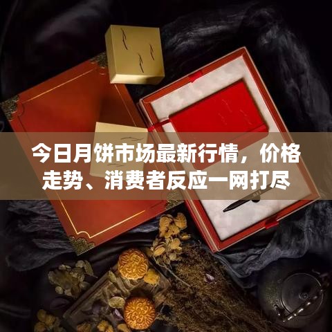 虫蚀鸟步