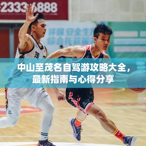 鸟惊鱼骇