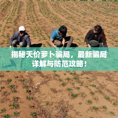 沉灶生蛙