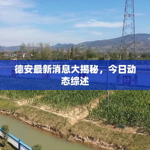 草间求活