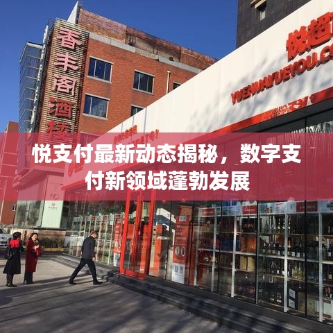 不翼而飞