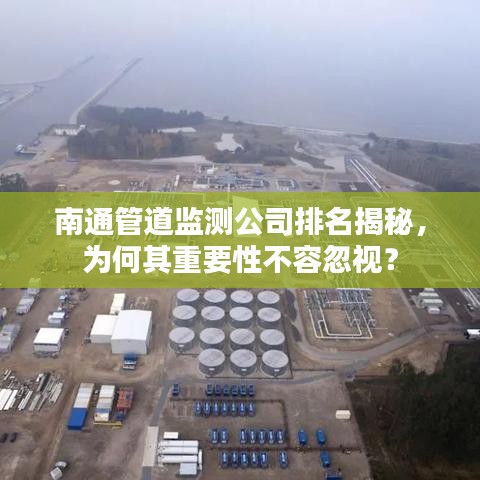 水浄鹅飞