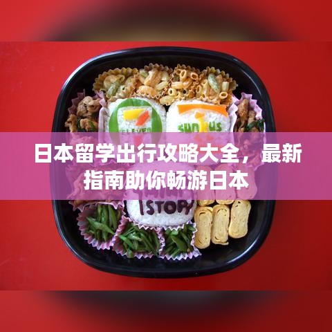 2025年5月20日 第7页
