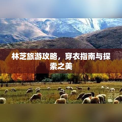 鸟声兽心