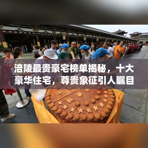半截鸟木