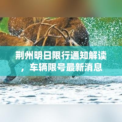 莺声燕语
