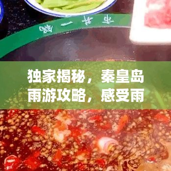 穷鸟入怀