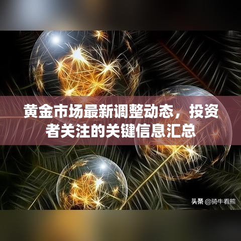 2025年5月25日 第10页