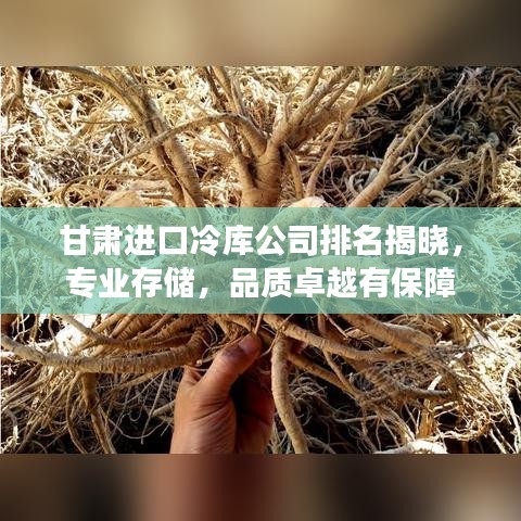 甘肃进口冷库公司排名揭晓，专业存储，品质卓越有保障
