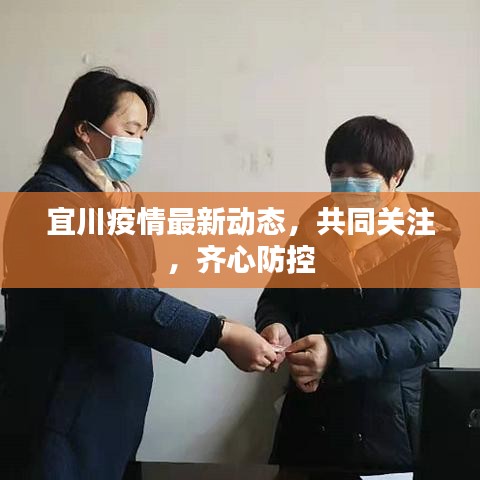 宜川疫情最新动态，共同关注，齐心防控