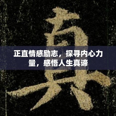 正直情感励志，探寻内心力量，感悟人生真谛