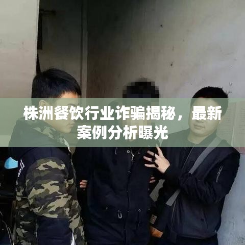 株洲餐饮行业诈骗揭秘，最新案例分析曝光
