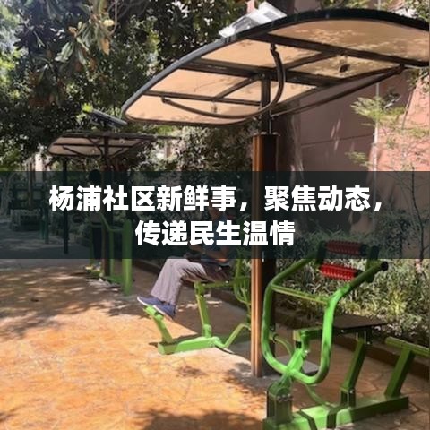 杨浦社区新鲜事，聚焦动态，传递民生温情