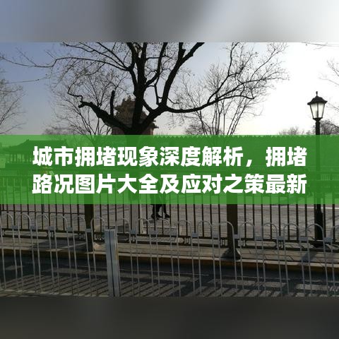 2025年5月27日 第10页