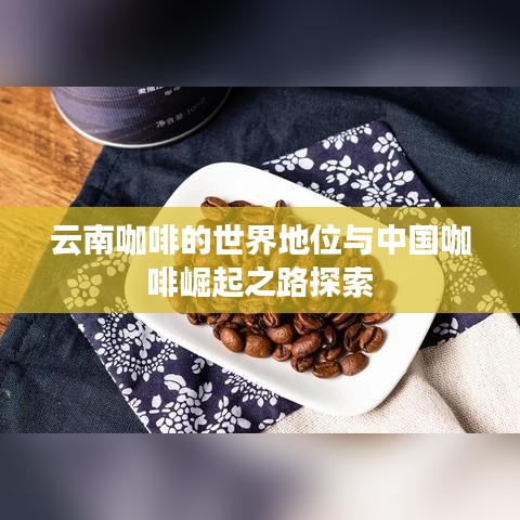 2025年5月28日 第3页