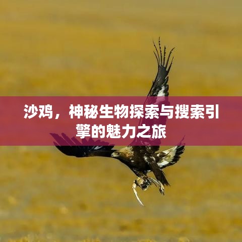 沙鸡，神秘生物探索与搜索引擎的魅力之旅