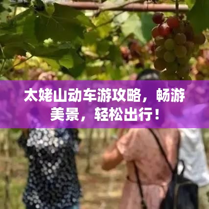 太姥山动车游攻略，畅游美景，轻松出行！
