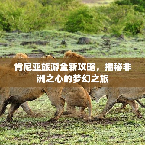 肯尼亚旅游全新攻略，揭秘非洲之心的梦幻之旅