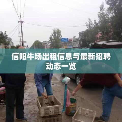 信阳牛场出租信息与最新招聘动态一览