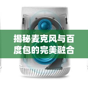 揭秘麦克风与百度包的完美融合，强强联手共创绝佳体验
