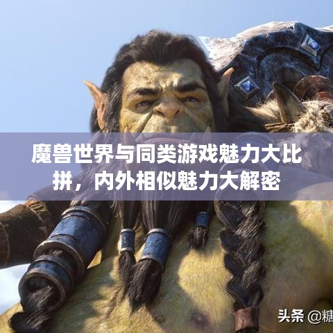 魔兽世界与同类游戏魅力大比拼，内外相似魅力大解密