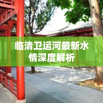 临清卫运河最新水情深度解析