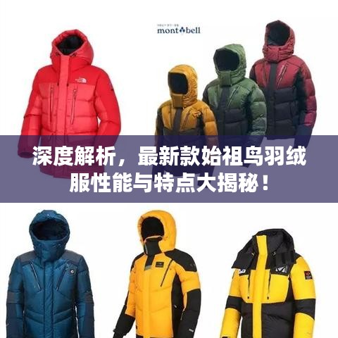 深度解析，最新款始祖鸟羽绒服性能与特点大揭秘！
