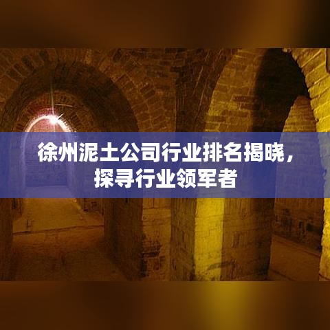 徐州泥土公司行业排名揭晓，探寻行业领军者