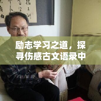励志学习之道，探寻伤感古文语录中的智慧启迪