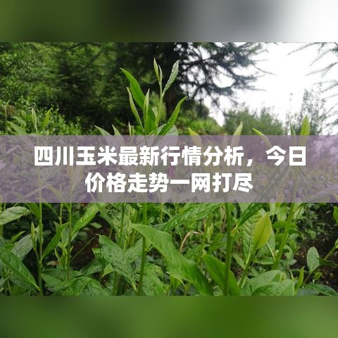 2025年6月11日 第28页
