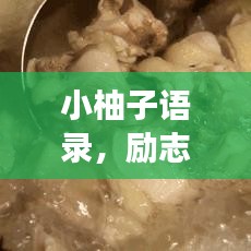 小柚子语录，励志心灵鸡汤，百度热门推荐