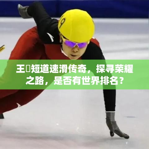 王濛短道速滑传奇，探寻荣耀之路，是否有世界排名？