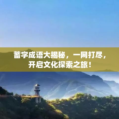 蓄字成语大揭秘，一网打尽，开启文化探索之旅！