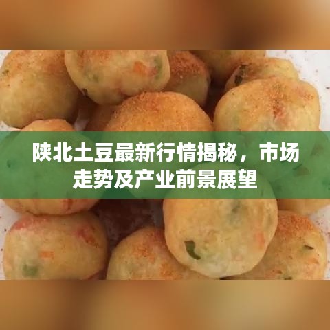 陕北土豆最新行情揭秘，市场走势及产业前景展望