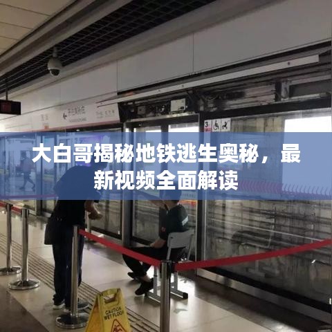 大白哥揭秘地铁逃生奥秘，最新视频全面解读