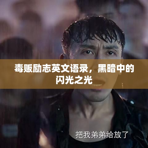毒贩励志英文语录，黑暗中的闪光之光
