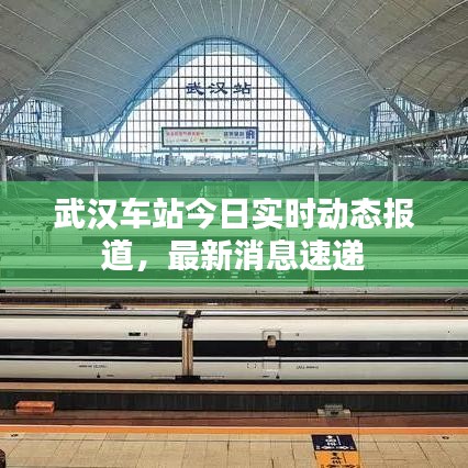 武汉车站今日实时动态报道，最新消息速递