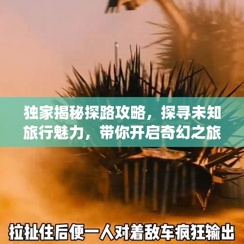 2025年6月15日 第41页