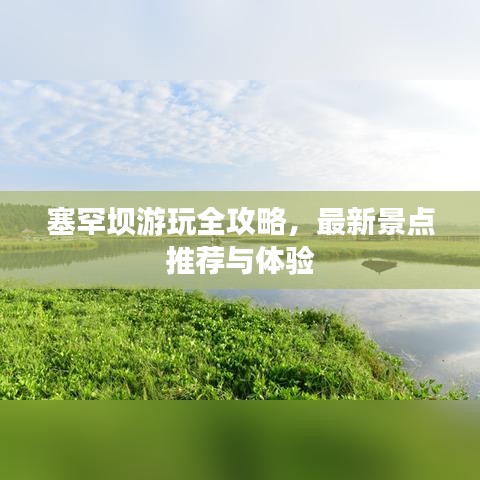 2025年6月15日 第38页