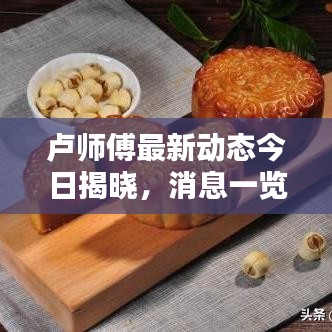 卢师傅最新动态今日揭晓，消息一览，不容错过！