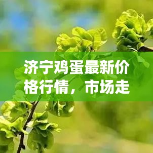 2025年6月15日 第31页